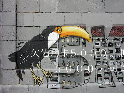 欠信用卡5000會抓人嗎，逾期未還信用卡債務5000元，可能會被強制執(zhí)行嗎？